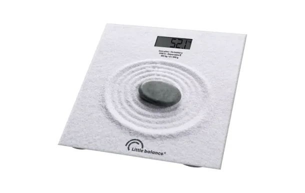 LITTLE BALANCE PESE  8841